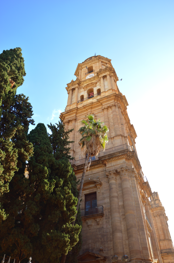 Worms Eye View of a tall, old building in Malaga with a tree in front of it.